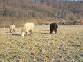 Winter1011 (25)